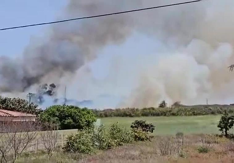Controlado un conato de incendio en Guamasa originado por una barbacoa