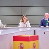 La viceconsejera de Planificación Territorial y Reto Demográfico del Gobierno de Canarias, Elena Zárate, en una intervención en la conferencia sectorial