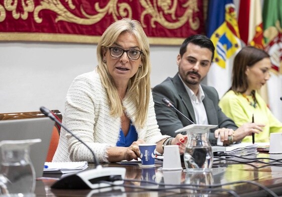 Momento de la Comisión de Sanidad celebrada de este martes en el Parlamento canario.