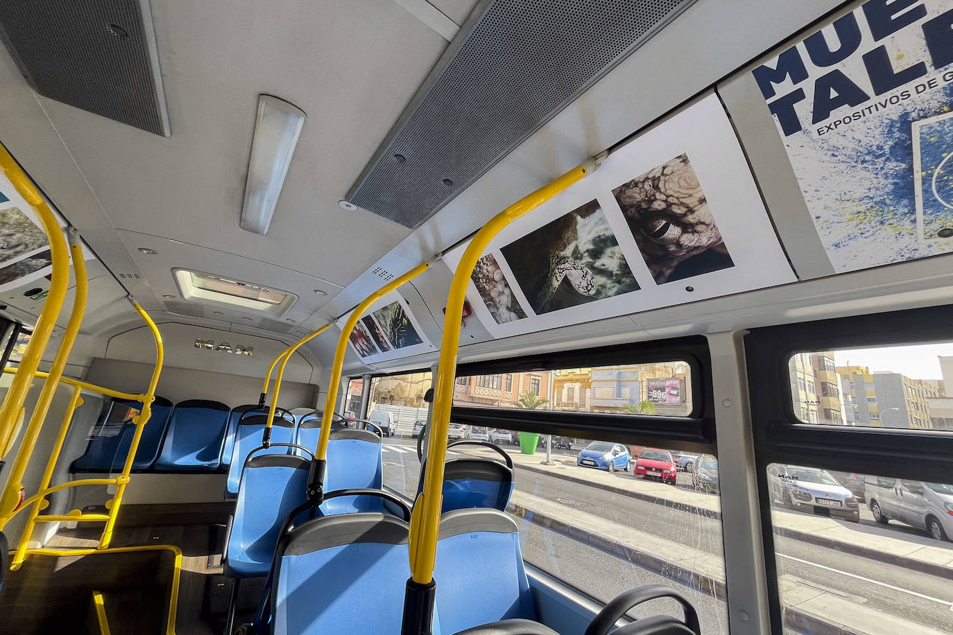 Una exposición itinerante sobre Las Canteras nos invita a descubrir su fondo marino