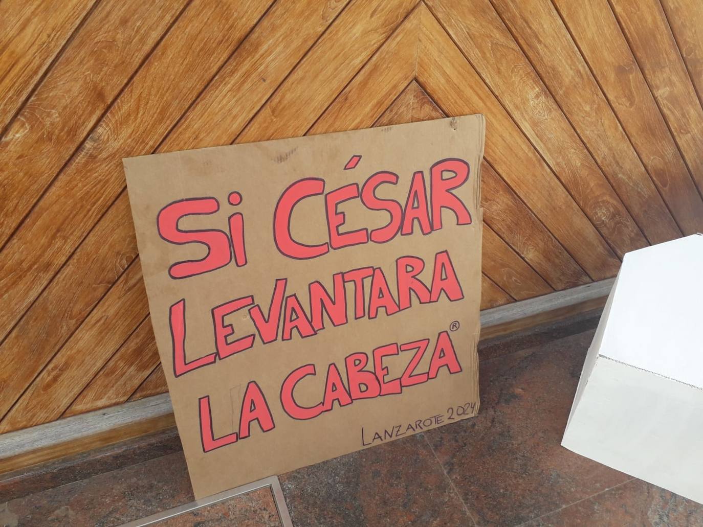 Las imágenes de la manifestación del 20A en toda Canarias