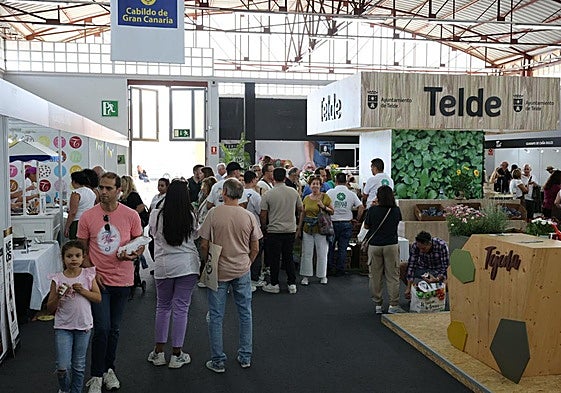 Imágenes de la Feria Gran Canaria Me Gusta en Infecar