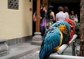 Imagen de archivo de Chicho y Yaiza, en la Casa de Colón.