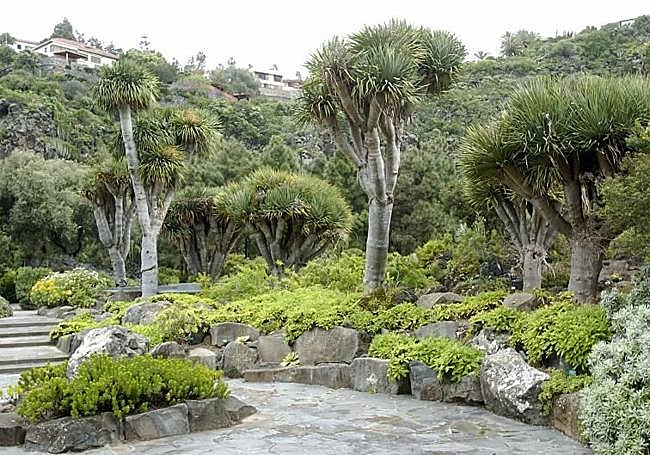Vista de una de las plazas del jardín botánico de mayor superficie de España.