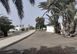 Zona ajardinada de Costa Teguise.
