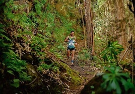 La Circular Extrema Villa de Moya transcurre por senderos de ensueño.