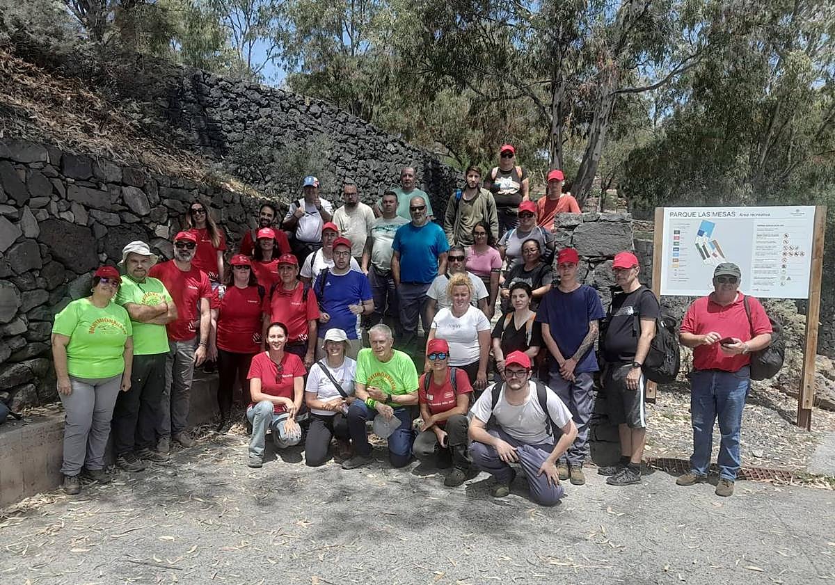 Imagen principal - Continúa la rehabilitación medioambiental de Las Mesas, con la Fundación Cepsa