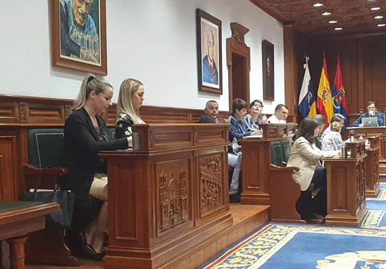 Tras abandonar Vox, Janoa Anceaume se sentó por primera vez en un Pleno junto a Rita Esmeralda Cabrera.