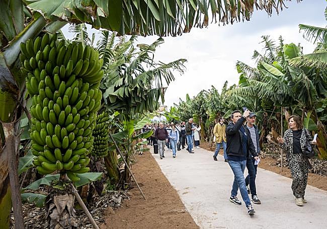 Imagen de la vizita a la finca La Gloria, a los pies de la Montaña de Guía.