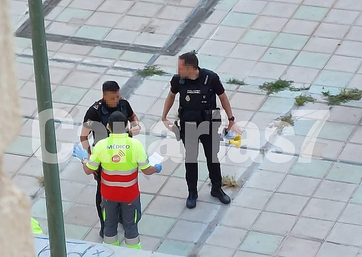 Imagen secundaria 1 - Hallan el cadáver de una persona sin hogar en una zona ajardinada de Las Palmas de Gran Canaria