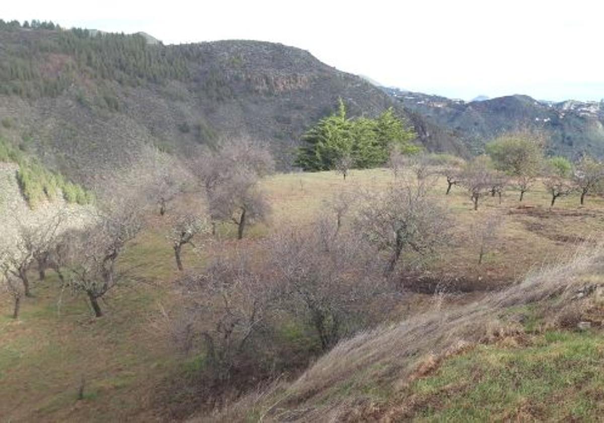 Aider asumirá la gestión del Banco de Tierras de Gran Canaria