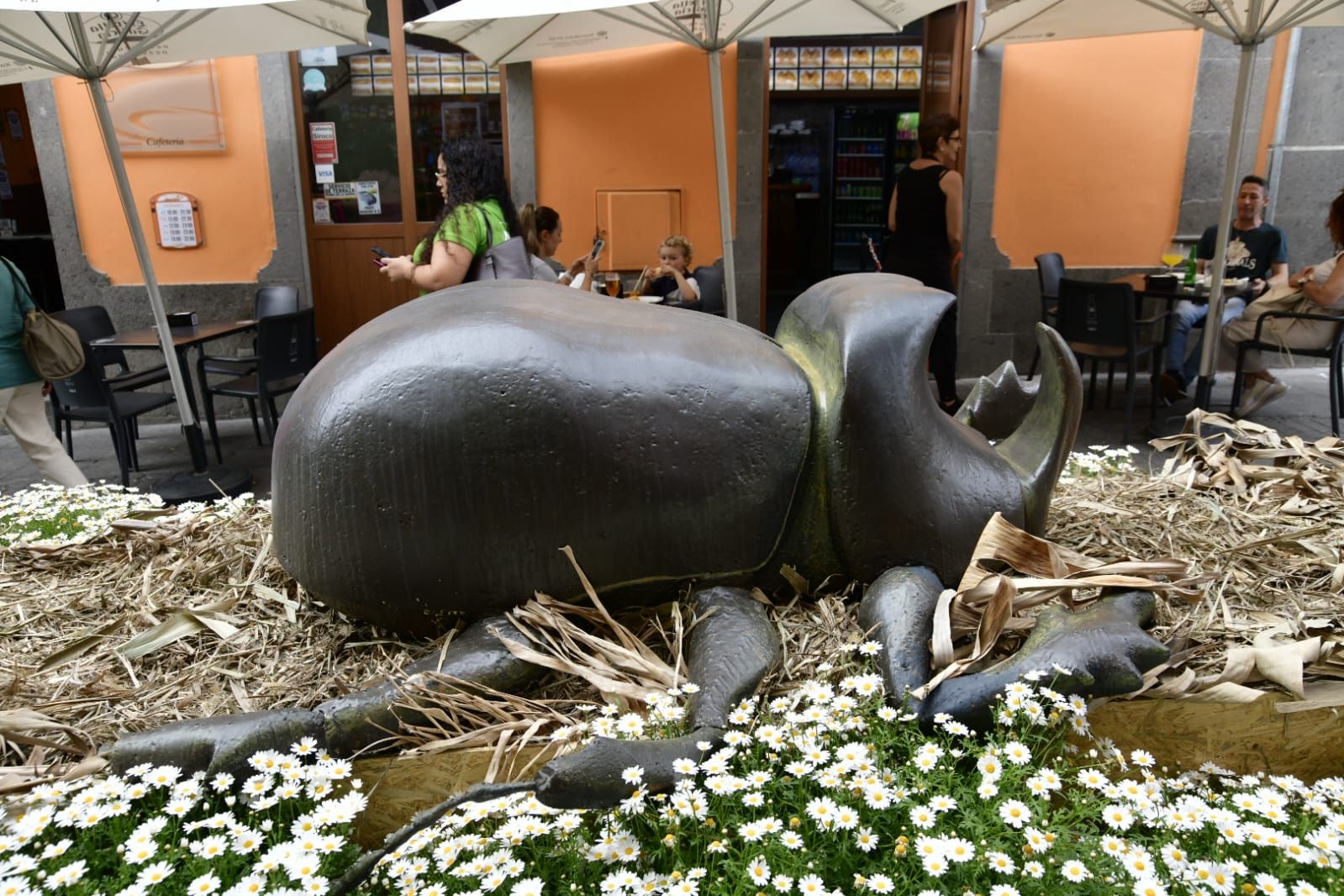 Arucas ya presume de piedra y flor