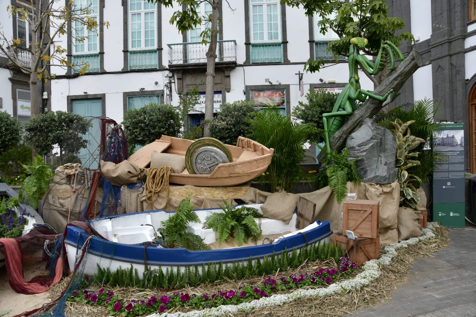 Arucas ya presume de piedra y flor