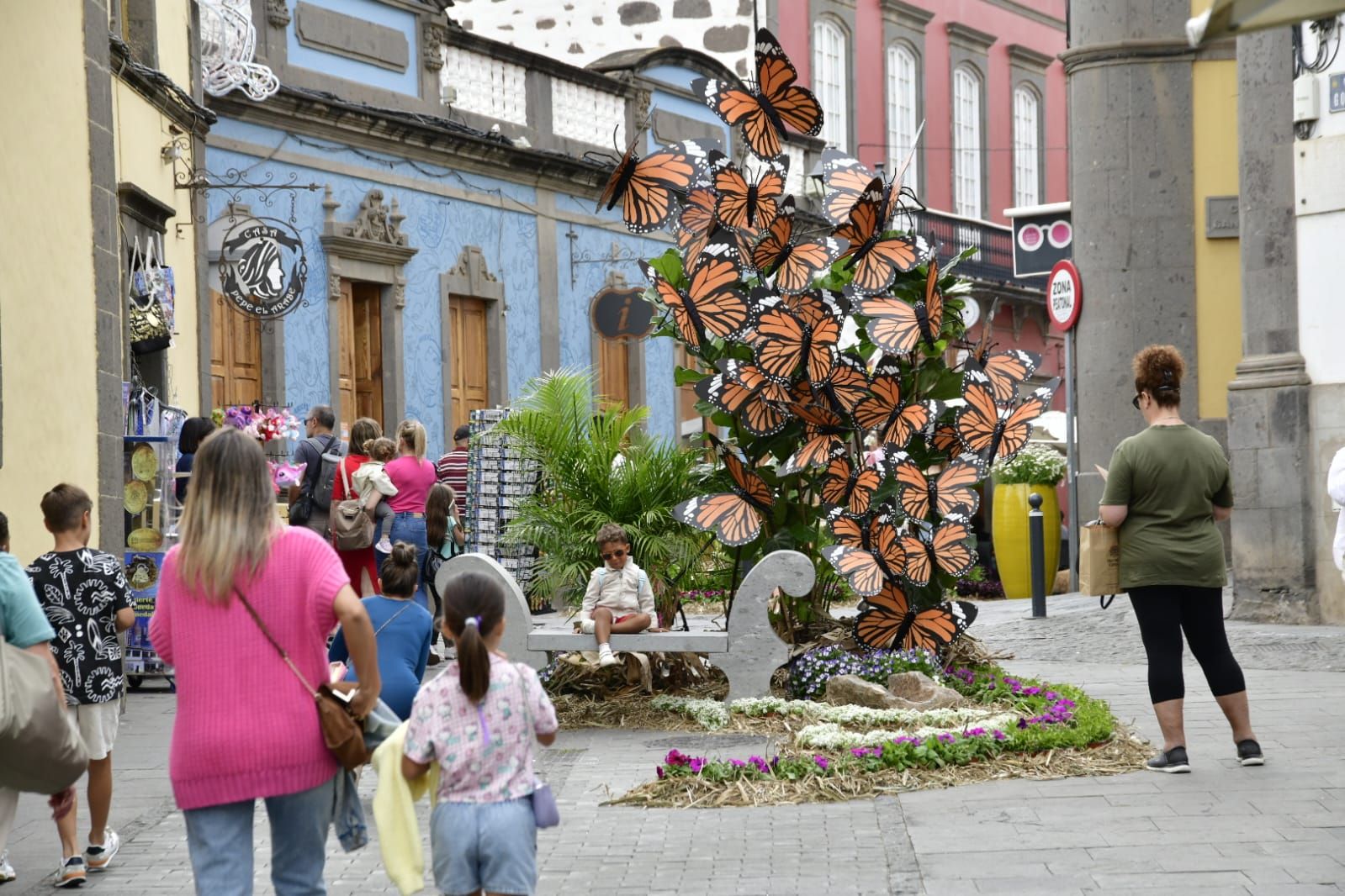 Arucas ya presume de piedra y flor
