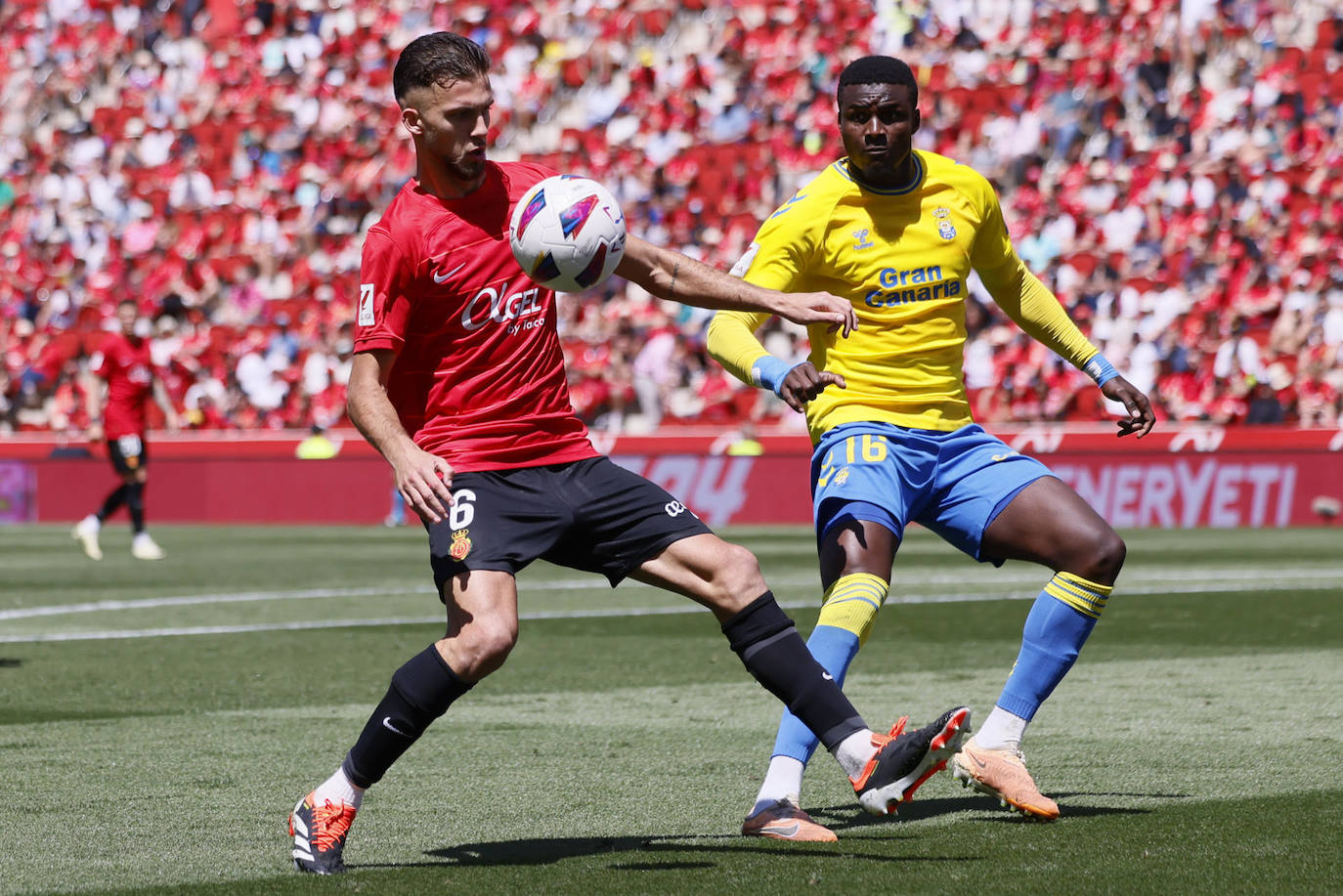 El Mallorca-Las Palmas, en imágenes