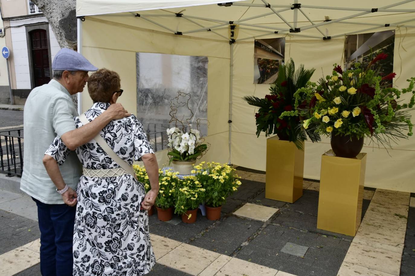 Las flores llenan la Plaza de Santo Domingo