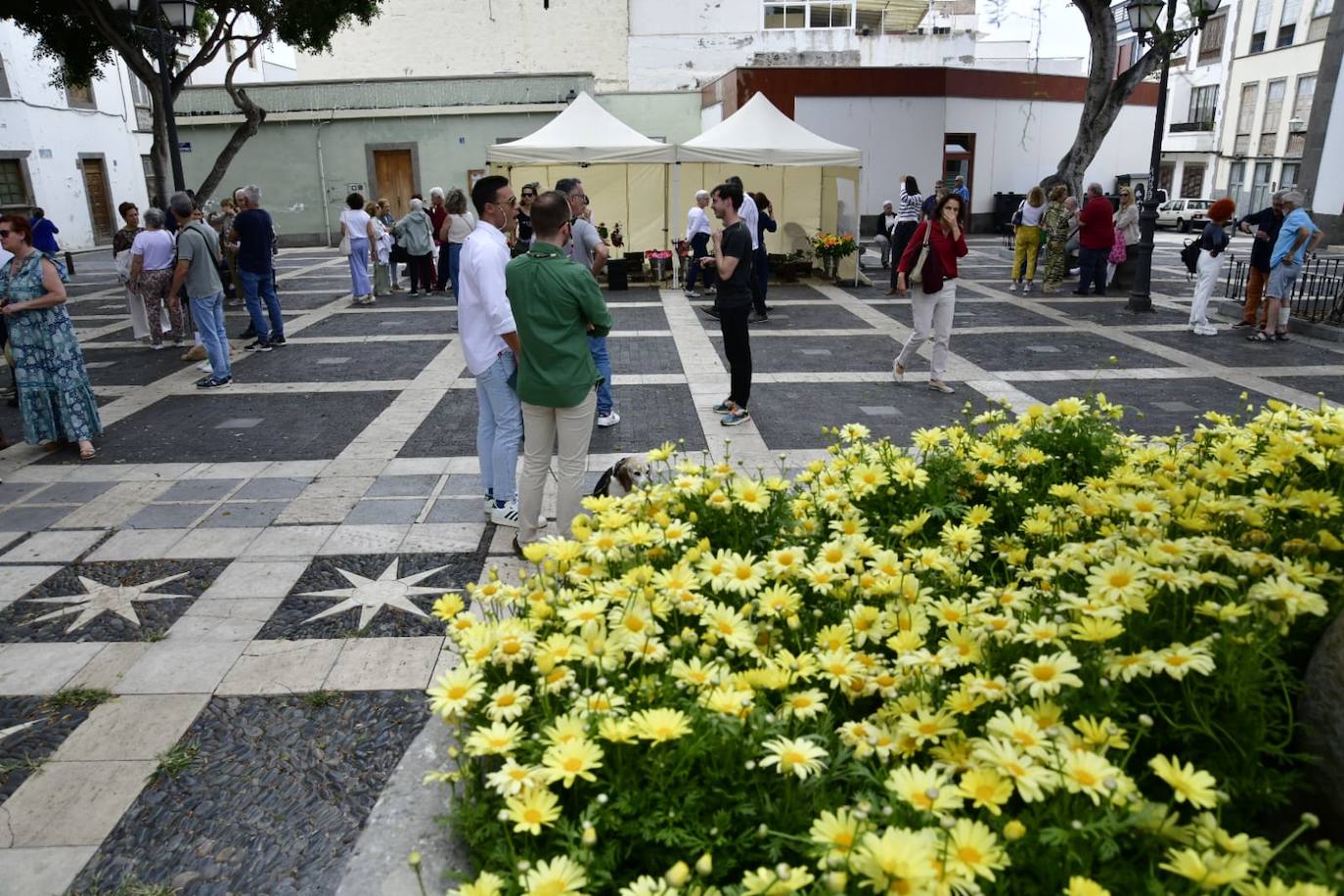 Las flores llenan la Plaza de Santo Domingo