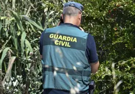 Imagen de archivo de un agente de la Guardia Civil en una operación en Gran Canaria.