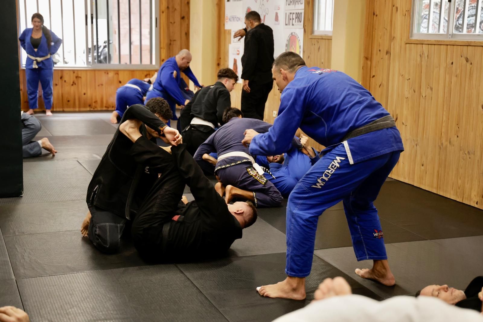 Clases magistrales de Fabricio Werdum en Gran Canaria