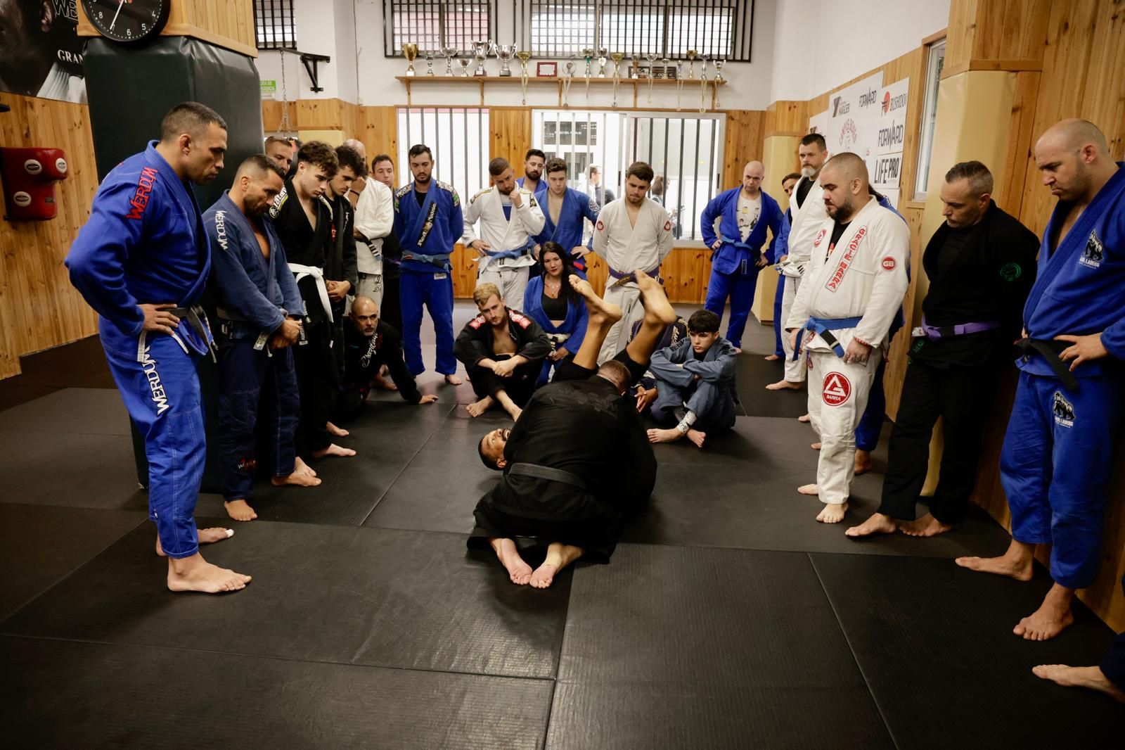 Clases magistrales de Fabricio Werdum en Gran Canaria