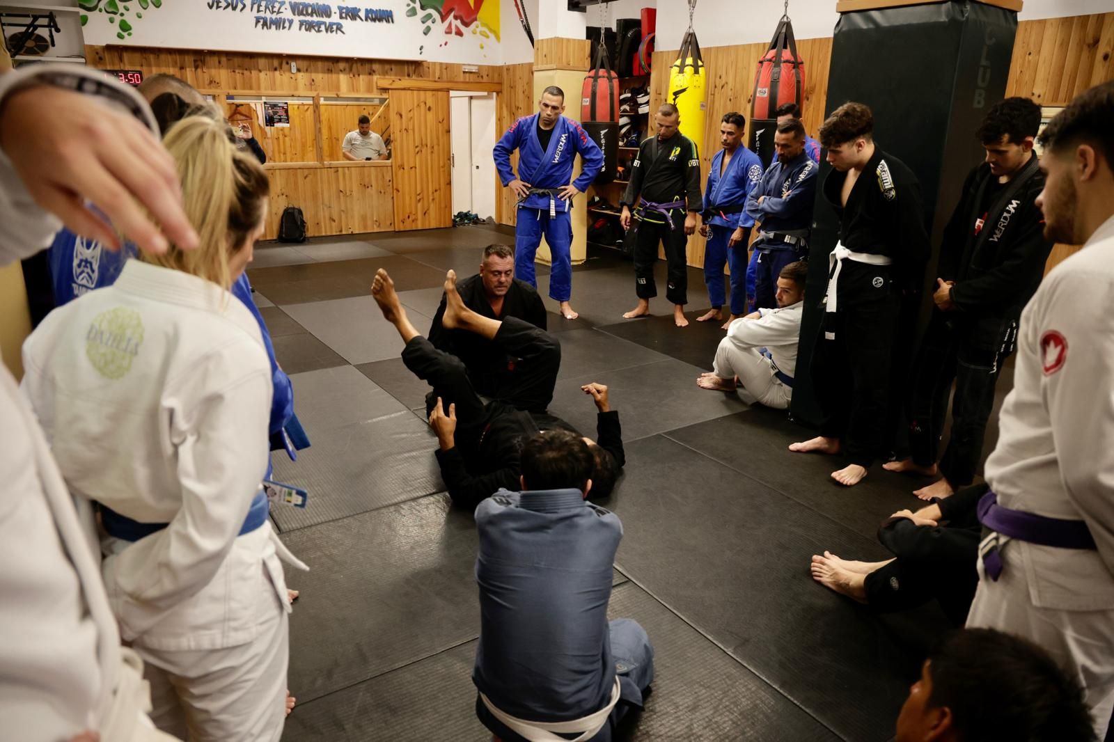 Clases magistrales de Fabricio Werdum en Gran Canaria