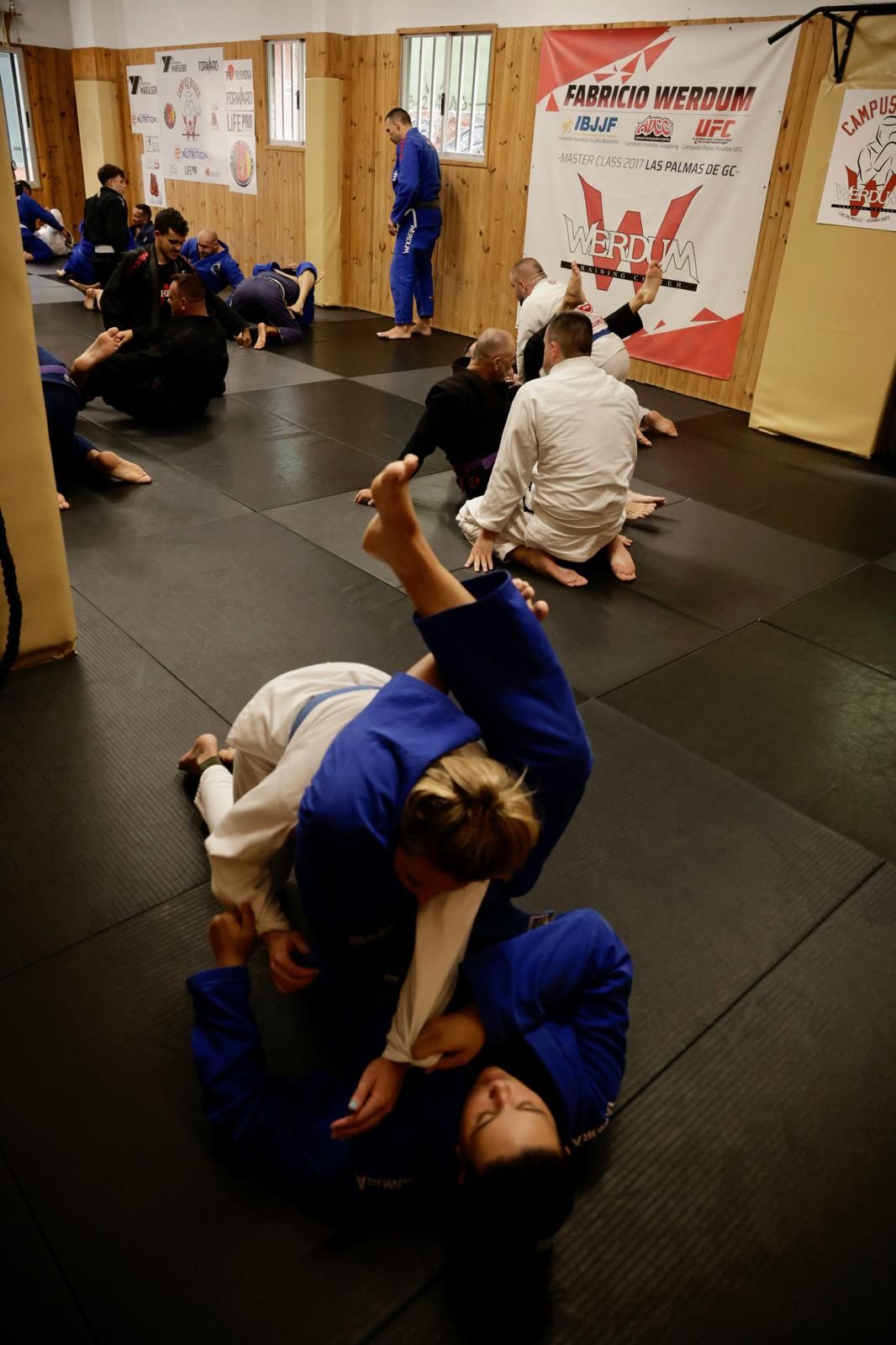 Clases magistrales de Fabricio Werdum en Gran Canaria