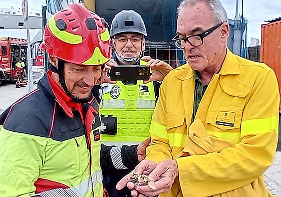 El veterinario del Cabildo de Gran Canaria Pascual Calabuig sostiene dos crías tras ser auxiliado por los bomberos de Las Palmas de Gran Canaria.