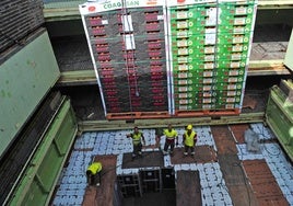Imagen del año 2012, cuando la exportación de tomate estaba fuerte y salía en barcos frigoríficos fletados.