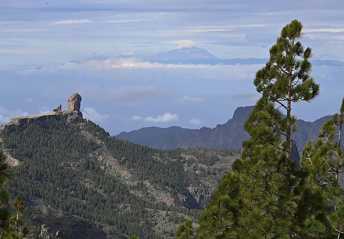 Proyectos que duermen el sueño de los justos