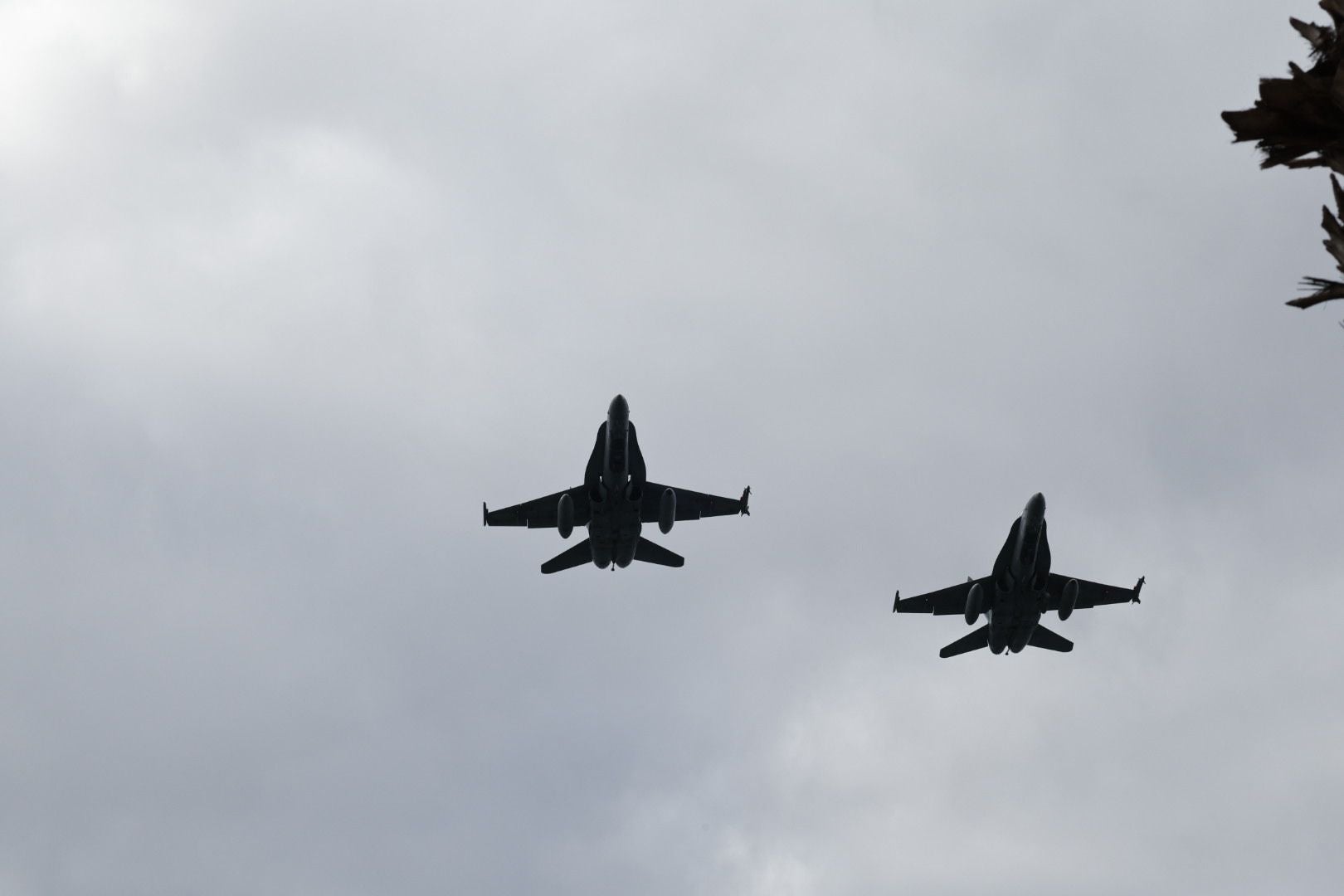 El desfile de las Fuerzas Armadas, en imágenes