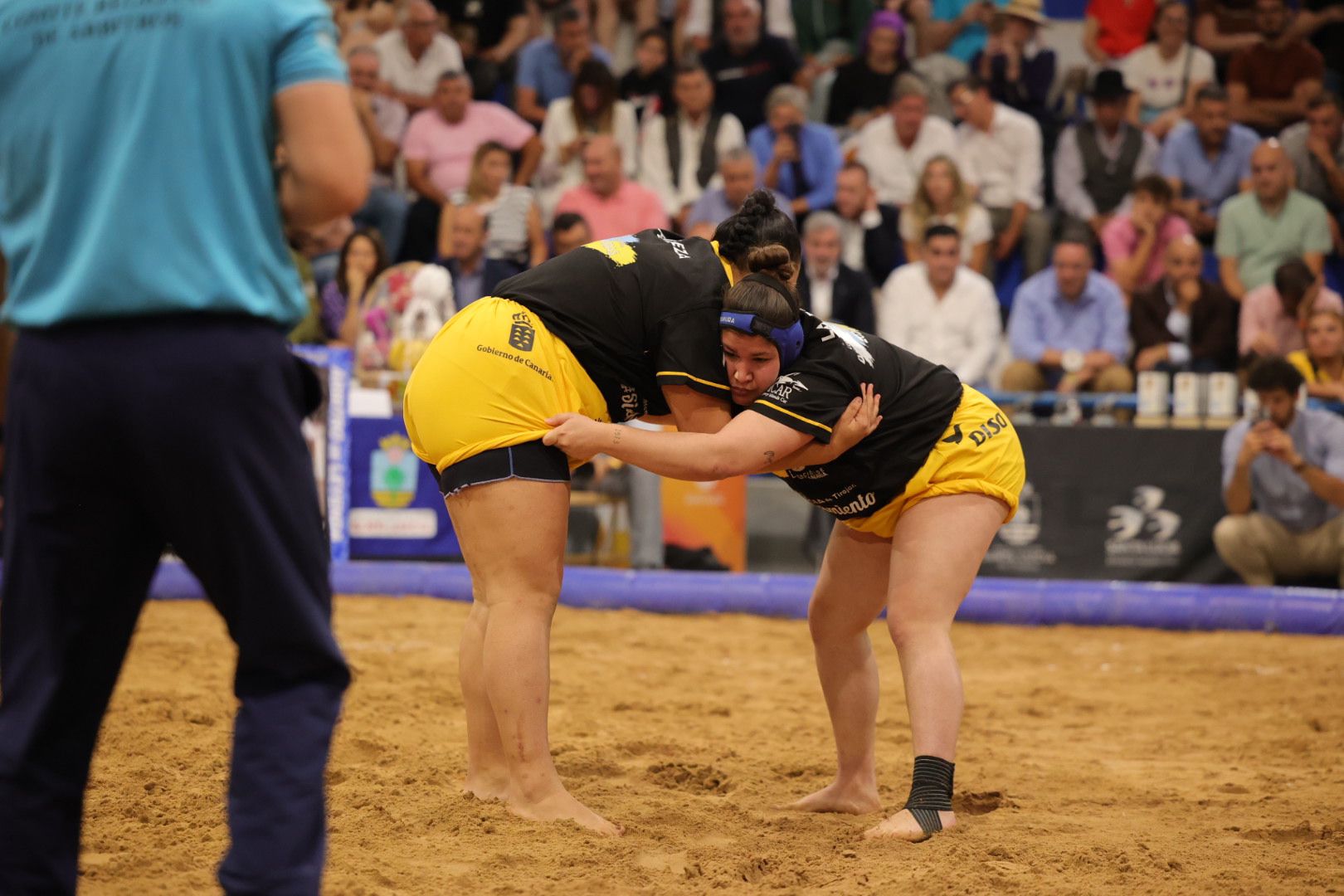 Las imágenes de la gran fiesta de la Luchada Institucional en Vecindario