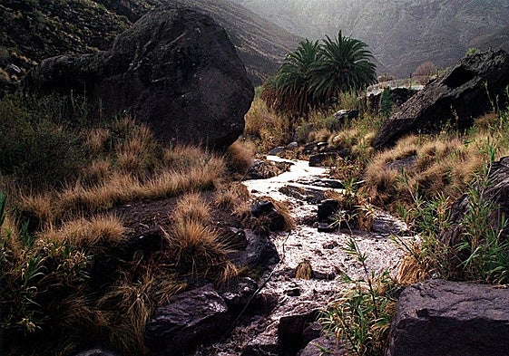 Fernando de Guadarteme: ¿Traidor o Visionario?