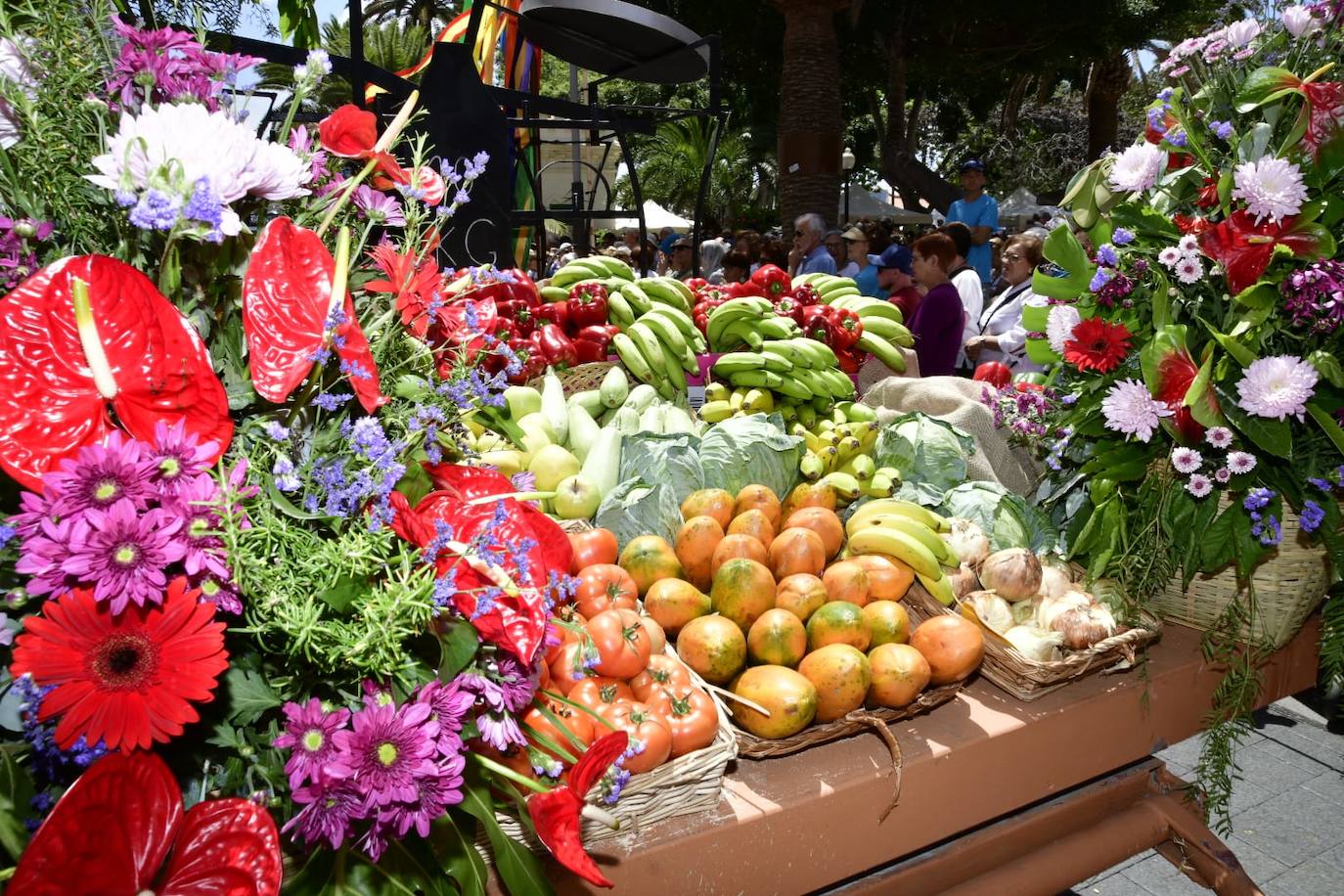 El Paseo Romero conquista Santa Catalina