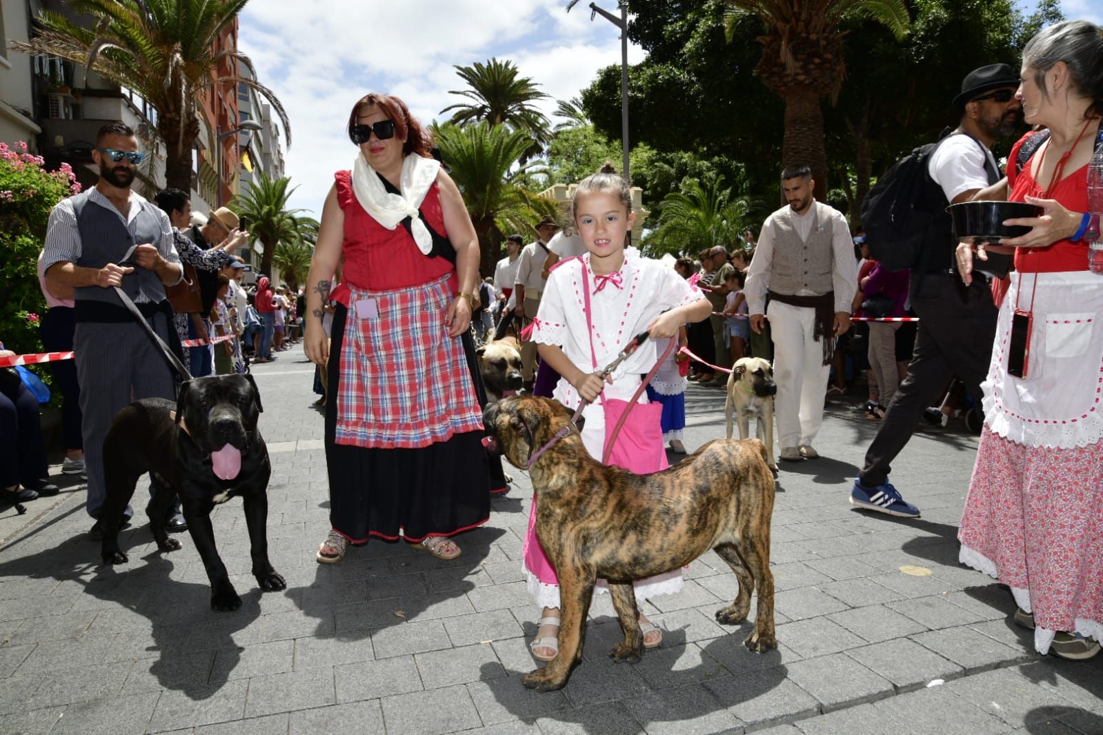 El Paseo Romero conquista Santa Catalina