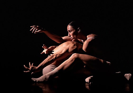 'Matamori No Nai', de Catarina Casqueiro y Tiago Coelho.