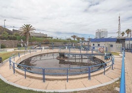 Imagen depuradora Punta del Hidalgo.