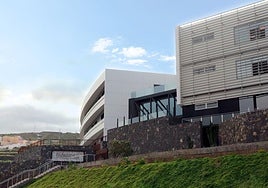 La Universidad Fernando Pessoa Canarias amplia su oferta formativa con el nuevo Grado de Ciencias de la Actividad Física y del Deporte