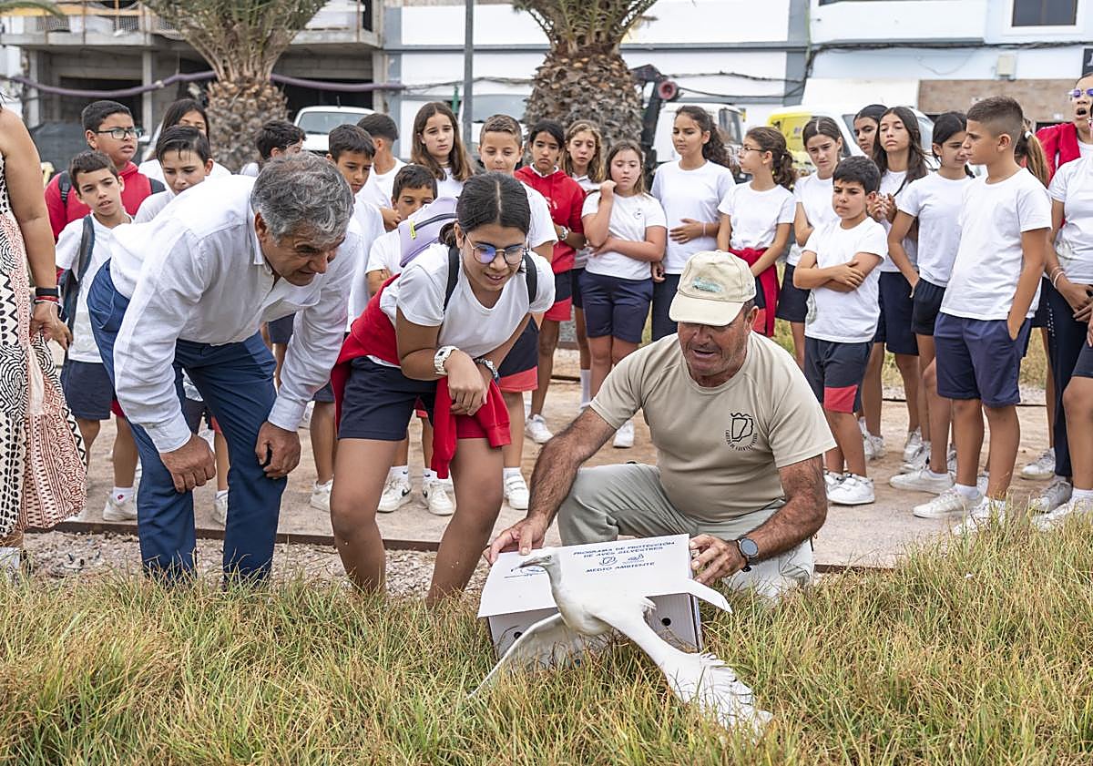 Imagen principal - Cinco garcillas bueyeras vuelven a volar en libertad