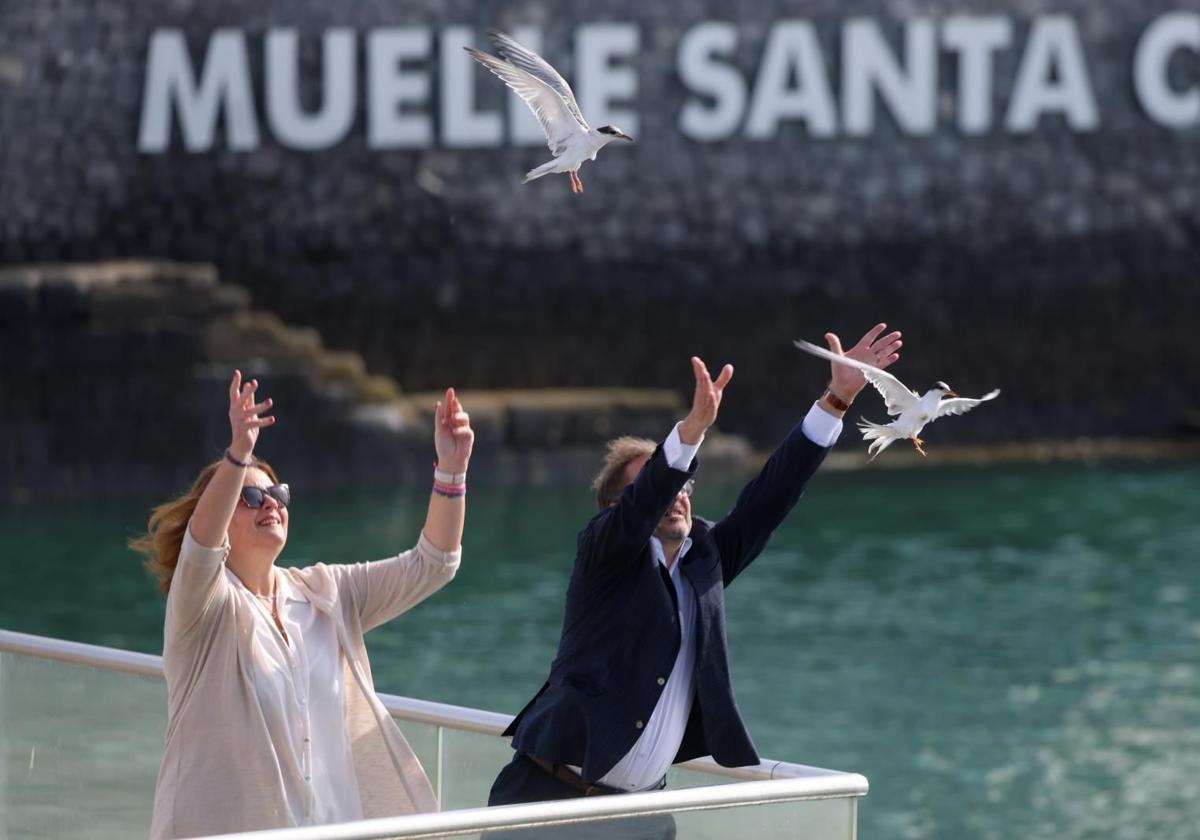 «¡Adiós, amores!»: el primer vuelo en libertad de los dos charranes criados en Tafira