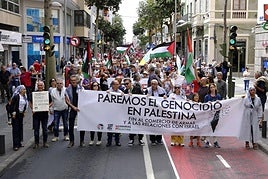 Imagen de la manifestación celebrada en San Telmo el pasado de mes de mayo.