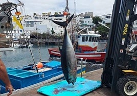 Denunciadas 15 embarcaciones recreativas por pesca ilegal del atún en aguas de Lanzarote