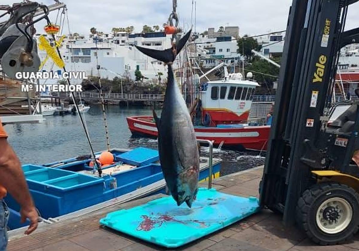 Denunciadas 15 embarcaciones recreativas por pesca ilegal del atún en aguas de Lanzarote