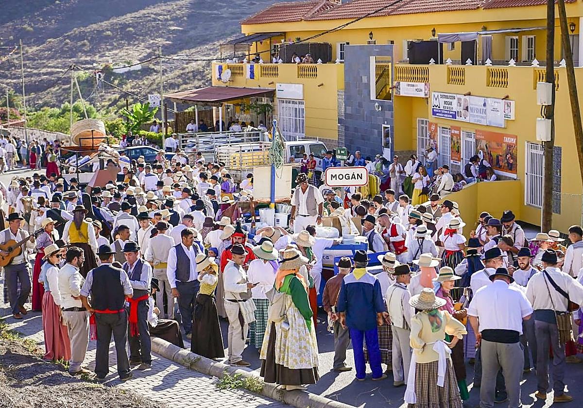 Mogán presume de la romería de San Antonio el Chico