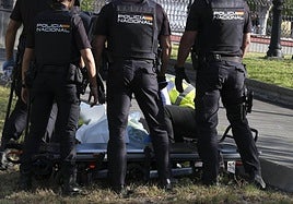 Imagen del asesinato producido hace unas semanas en el parque teldense de Arnao.