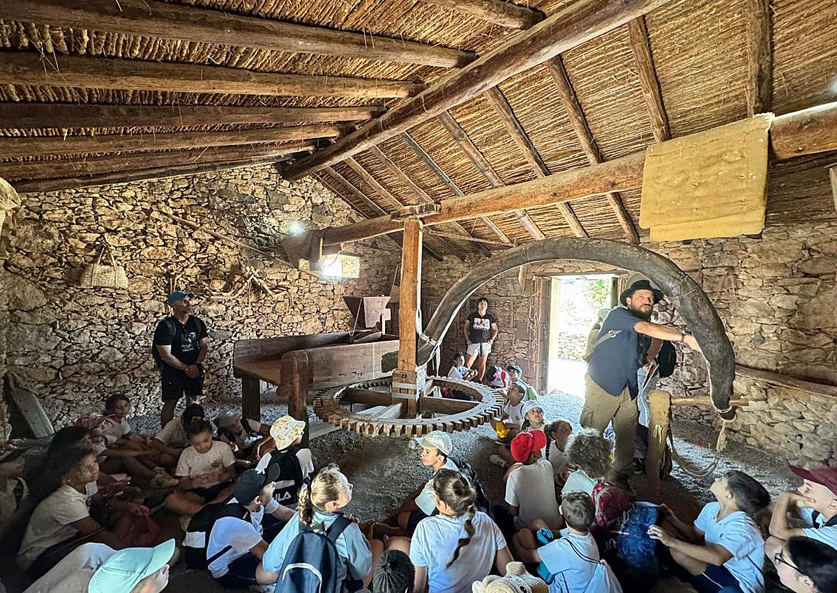 Imagen secundaria 1 - El juego de aprender la Historia de Fuerteventura