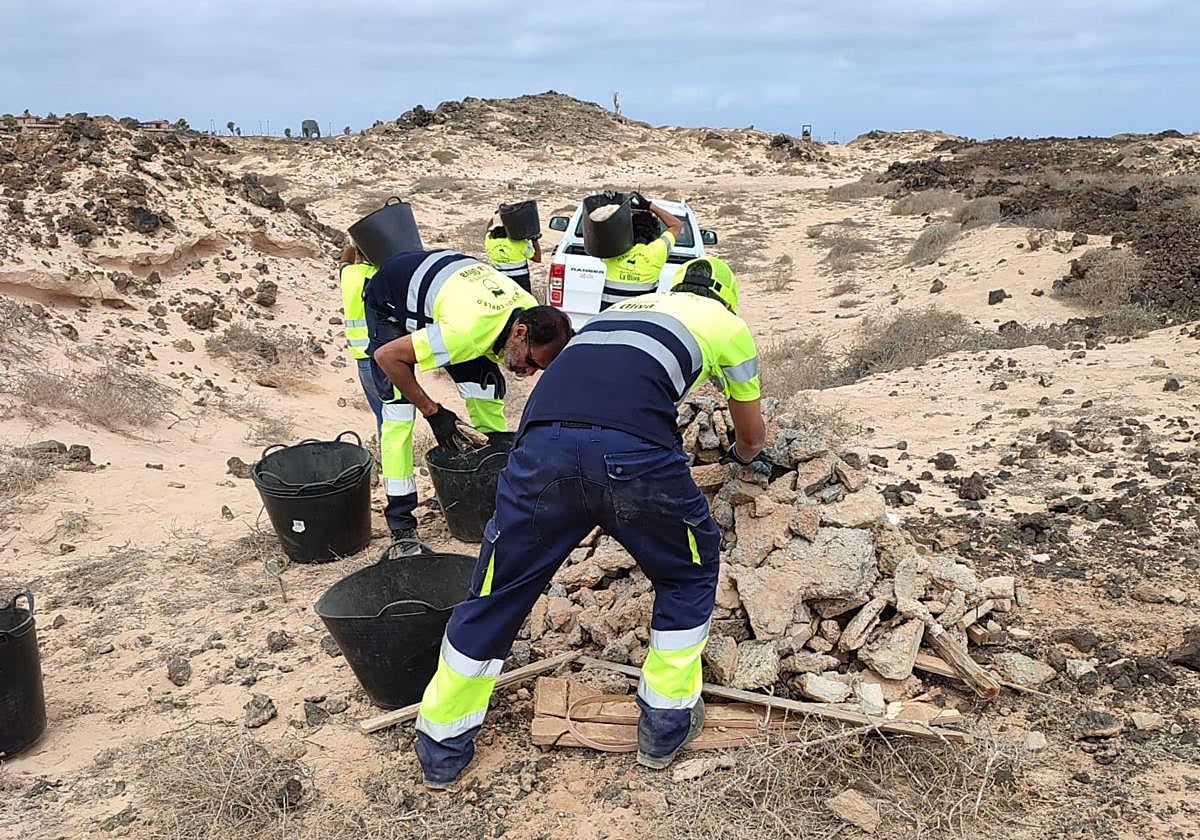 Los operarios de Medio Ambiente retiran escombros tirados cerca de las playas de El Cotillo.