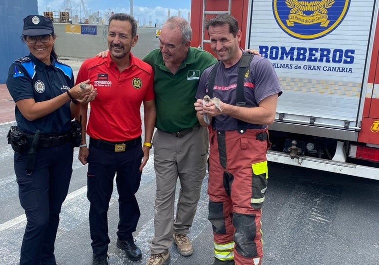 Los bomberos y una policía portuaria sostienen crías de charranes junto a Pascual Calabuig.