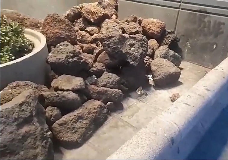 Imagen de la banda de roedores en la estación de San Telmo.