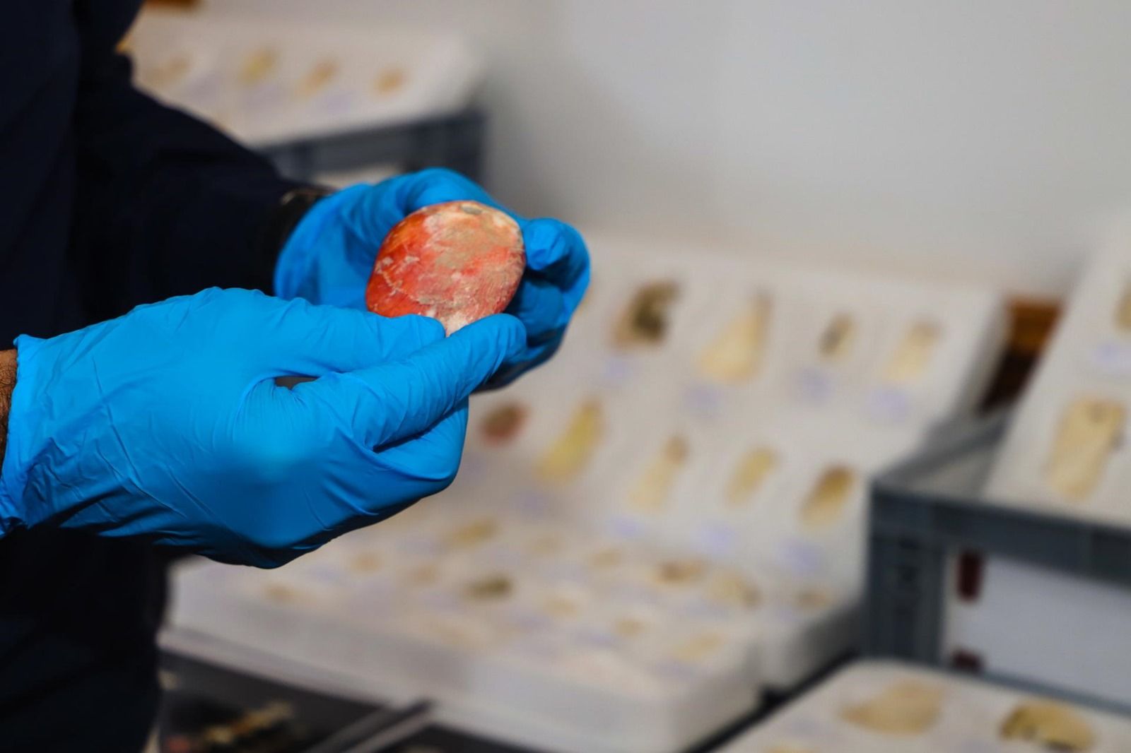Hallan en La Palma 226 cuentas de collar prehispánicas de casi un milenio de antigüedad