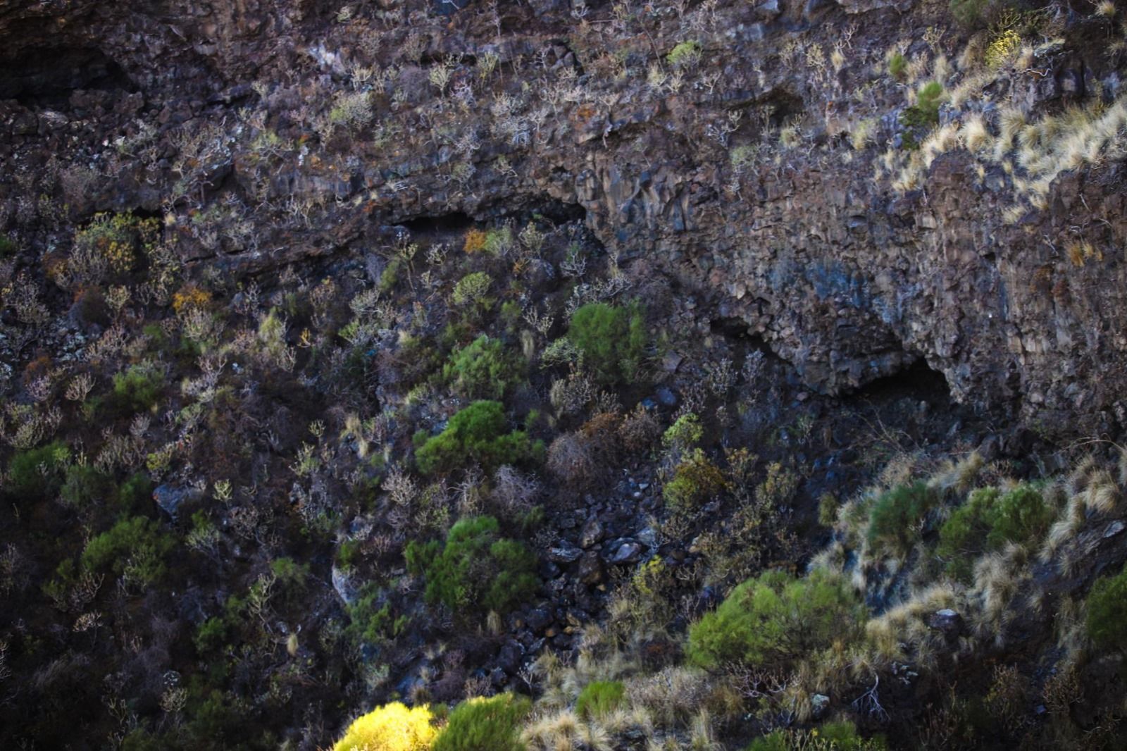 Hallan en La Palma 226 cuentas de collar prehispánicas de casi un milenio de antigüedad